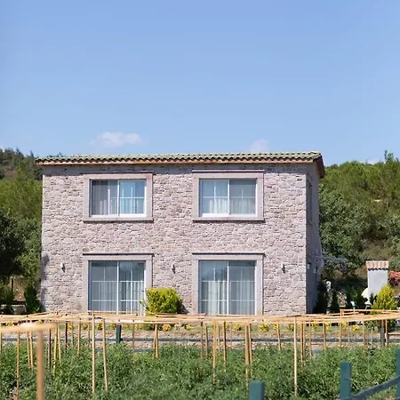 Leone Natural Hotel *