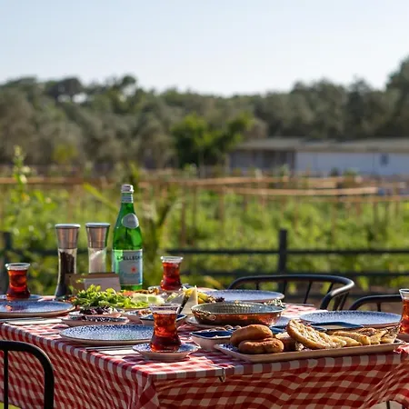 Leone Natural Hotel Ayvalı