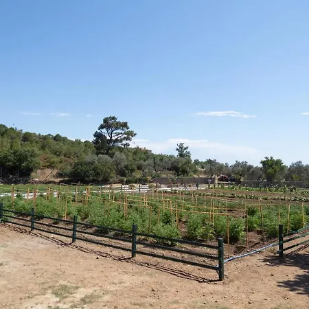 Leone Natural 酒店