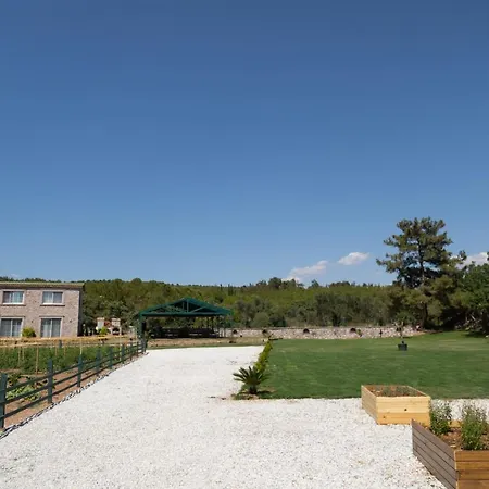 Leone Natural * Ayvalı