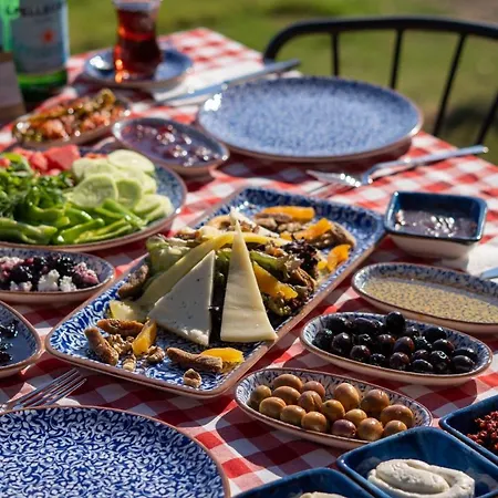 Leone Natural 酒店 Ayvalı